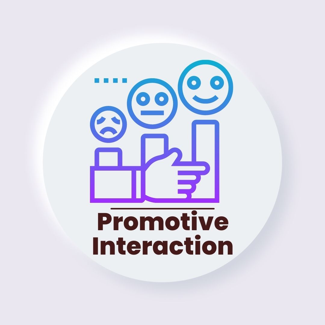 Promotive Interaction