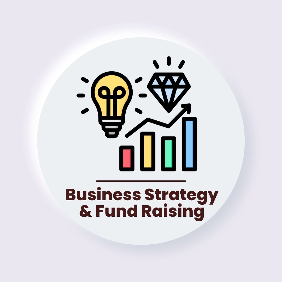 Strategy & Fund Raising